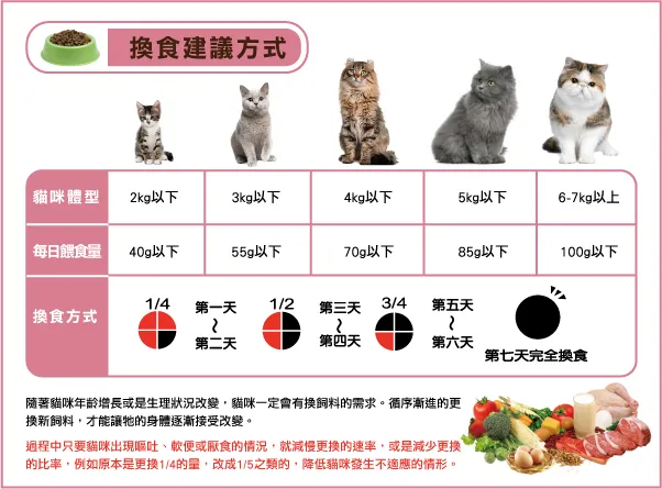 貓咪換食建議方式│全球寵物小貓飼料及乾糧