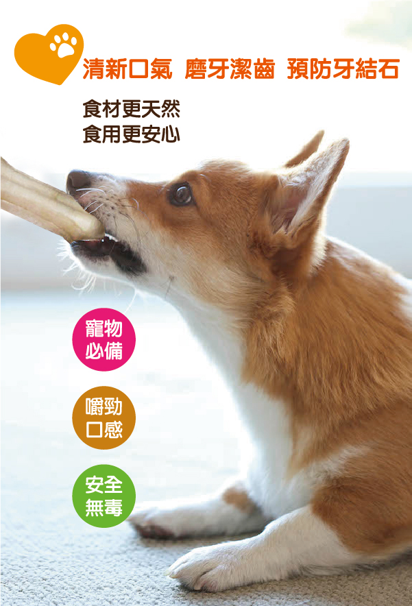 給您的愛犬清新口氣、磨牙潔齒且可預防牙結石丨全球寵物幫助毛小孩牙齒的健康與發育