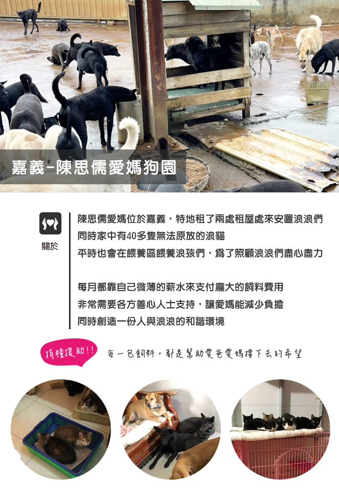 開團中!貓飼料愛心團購，幫您直送至南投浪愛不流浪